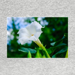 Datura Flower Photograph T-Shirt